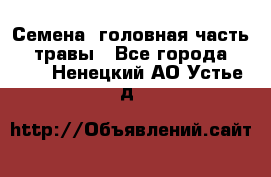 Семена (головная часть))) травы - Все города  »    . Ненецкий АО,Устье д.